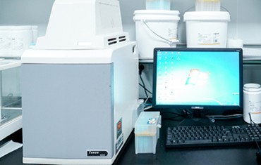 自动化学发光图像分析仪