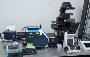 转盘激光共聚焦活细胞检测显微镜系统