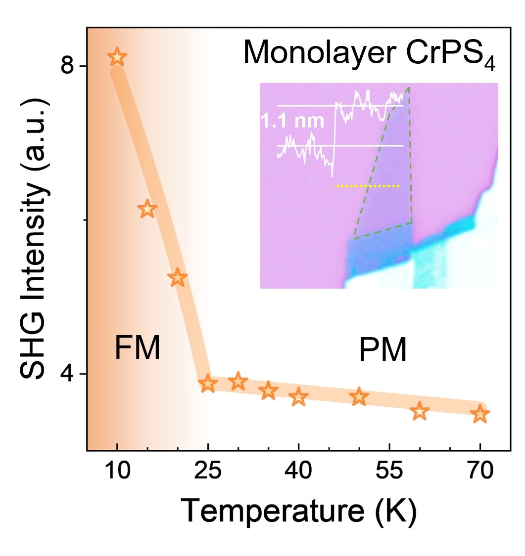 强磁场团队在二维CrPS4单分子层中发现强MSHG效应