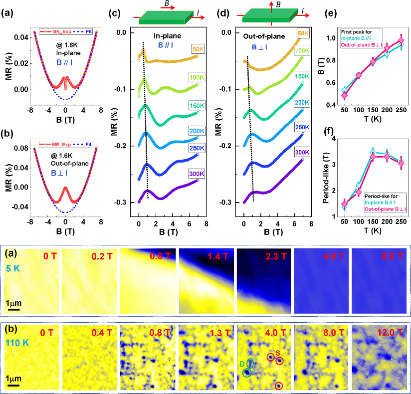 科学岛团队揭示笼目反铁磁半金属异质结低磁场反常磁阻行为